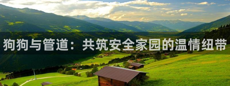 威九国际人民网招聘