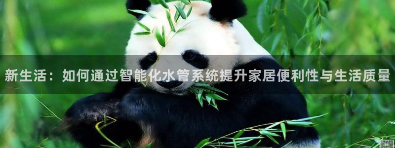 威九国际网站进入产品中心怎么进