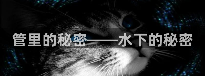 威九国际旗下艺人