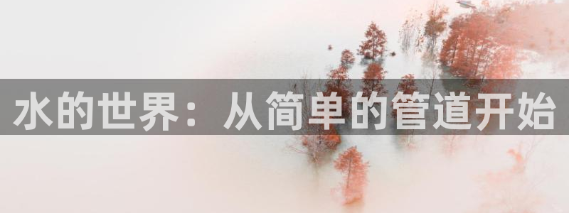 威九国际78mb官网