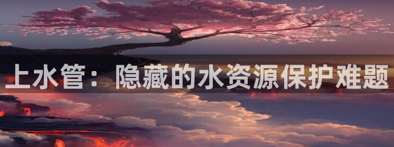 威九国际官网版