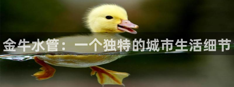 威九国际国精彩片段