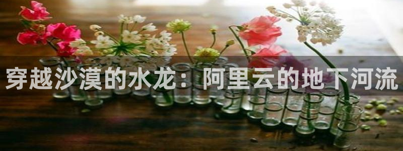 威九国际新人白发