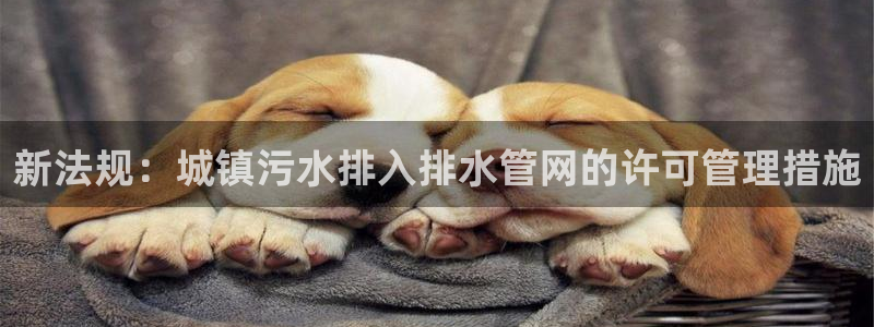 威九国际78m-MBA智库百科