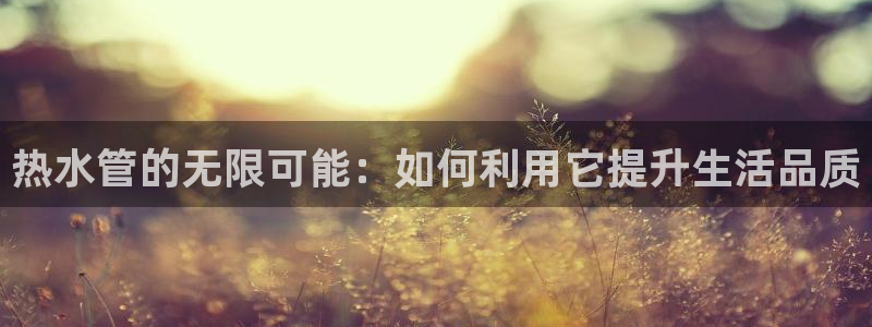 威九国际网站客服电话多少啊