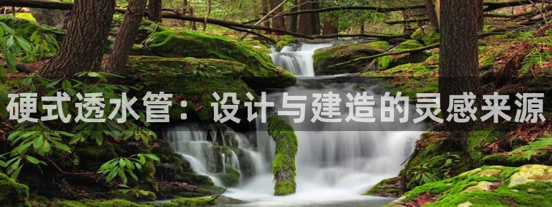 威九国际演员2023年最新作品