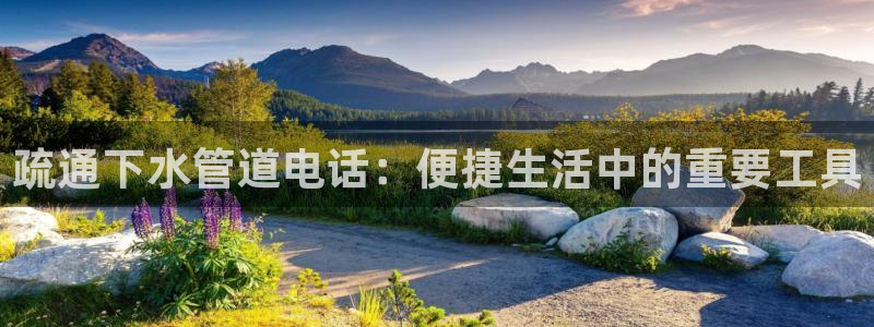 威九国际官网在线进入网站查询网址