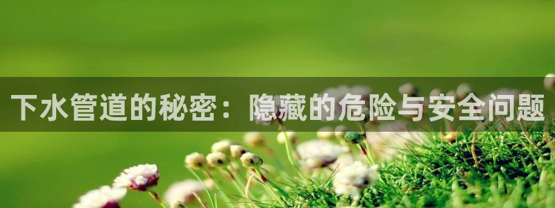 威九国际游戏入口