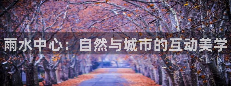 威九国际app大全下载安装