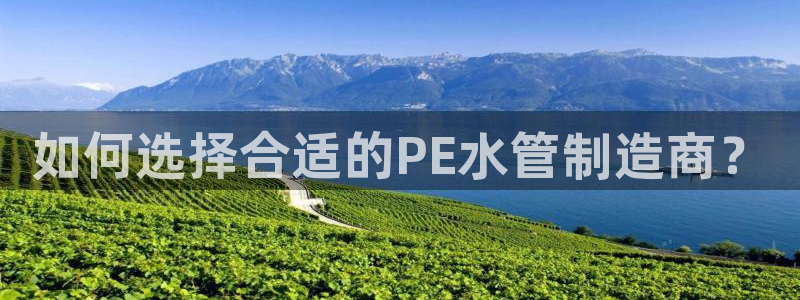 威九国际app网站