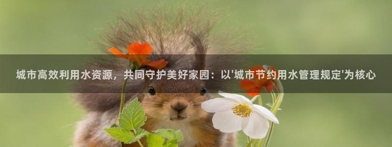 威九国际网站是多少