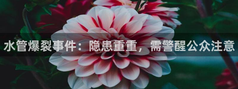 威九国际网站进入客服中心怎么退出