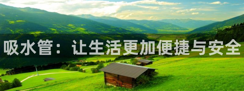 保定威九网络科技有限公司