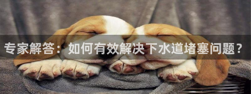 78mapp威九国际免费官方版下载