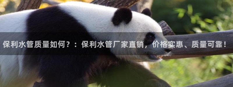 威九国际官网版下载