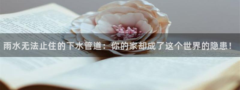 威九国际78mb特点