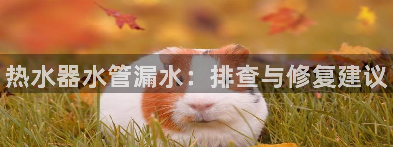 威九国际提款不出来