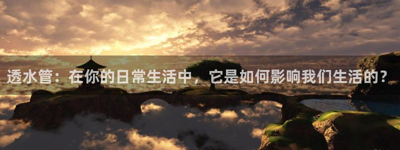 威九国际集团66m一6在线