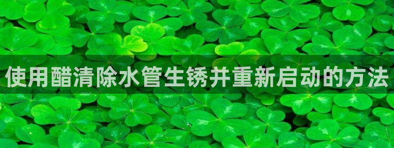 威九国际ppt免费下载网址