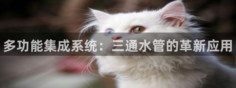 威九国际可以退钱吗怎么退款