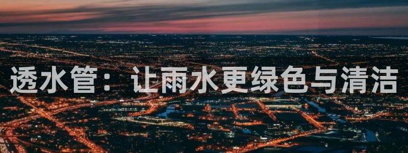 威九国际能提现吗