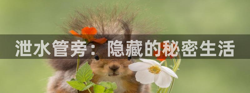 威九国际网站进入AB,AB