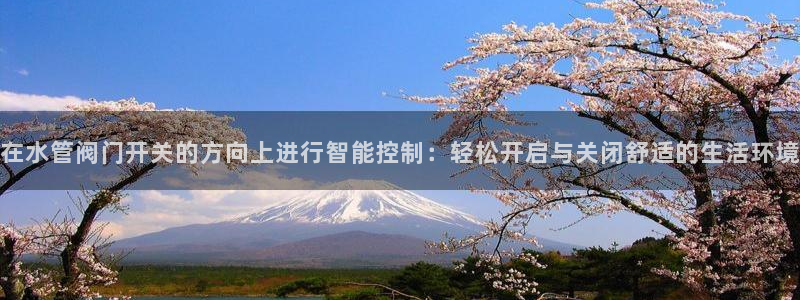 威九国际里的长头发帅哥名字