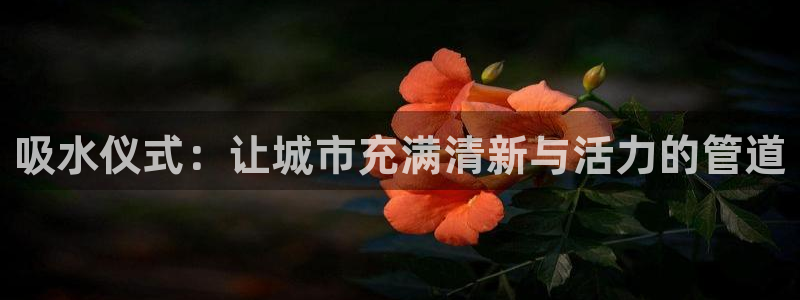 威九国际app下载