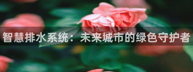 威九国际取款多到账