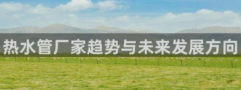 78mapp威九国际网