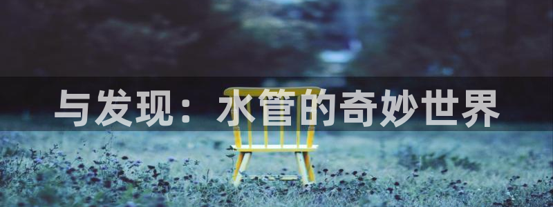 威九国际app网站官网