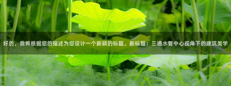 威九国际app网站官网