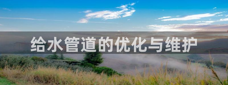 威九国际全国空降