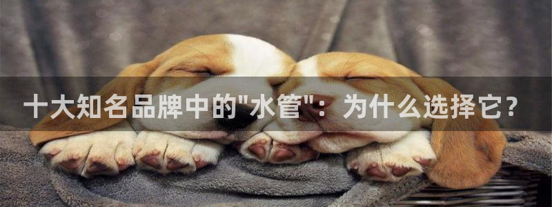 威九国际官方入口