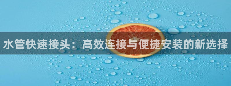 威九国际官网登录入口