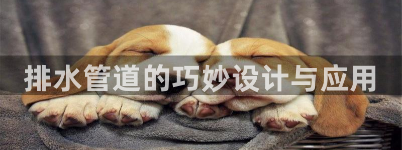 威九国际网站进入客服中心