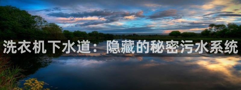 威九国际替好友去