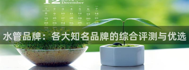 威九国际66m免费下载