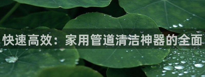 威九国际惠子