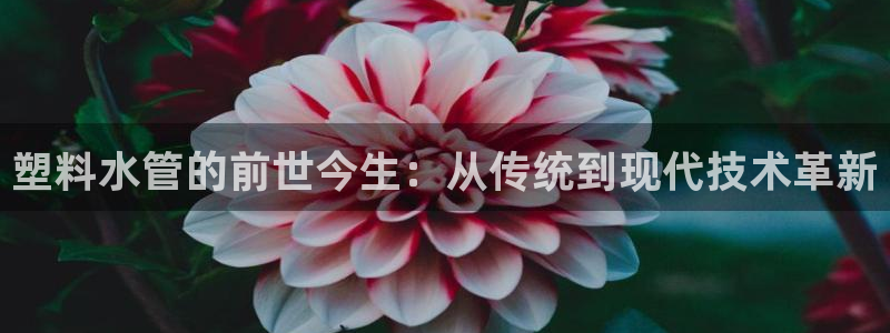 威九国际国精彩片段