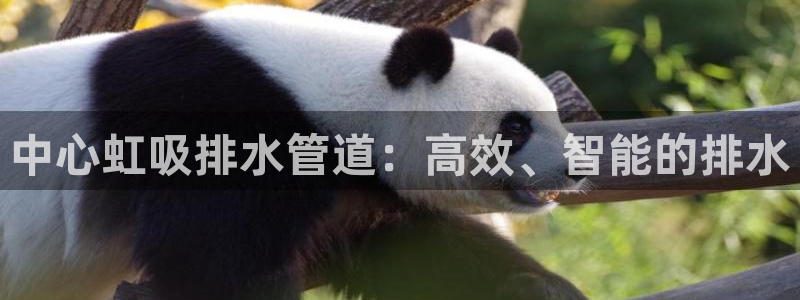 威九国际网站进入客服中心了吗