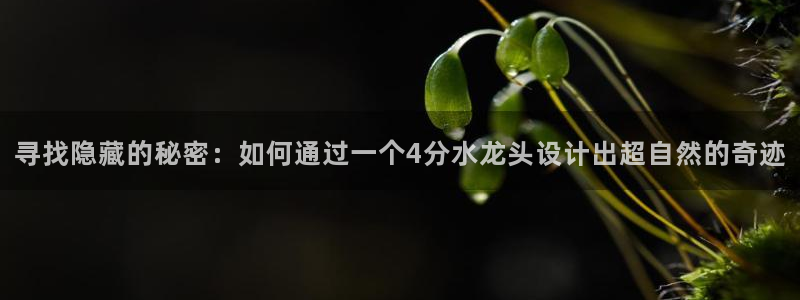 威九国际游戏app(网站)